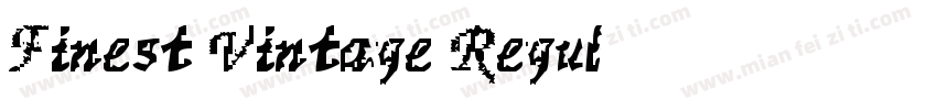 Finest Vintage Regul字体转换
